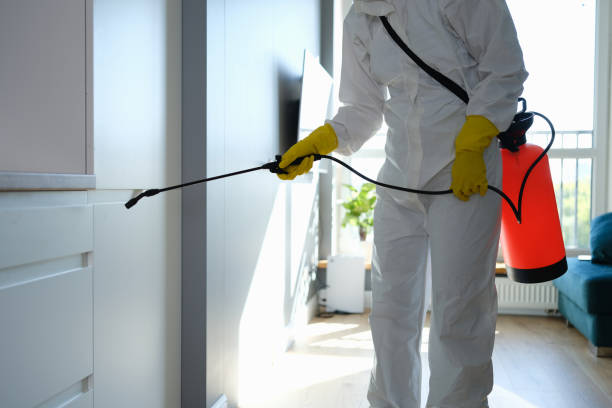 Best Mold Removal Specialists  in Madison Park, NJ